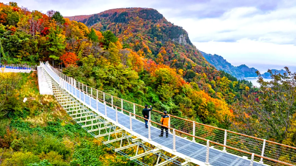 울릉 울렁다리 모습