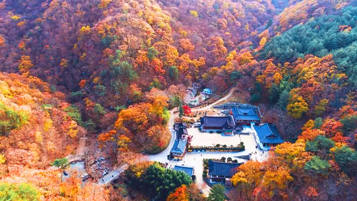 양산 내원사 전경