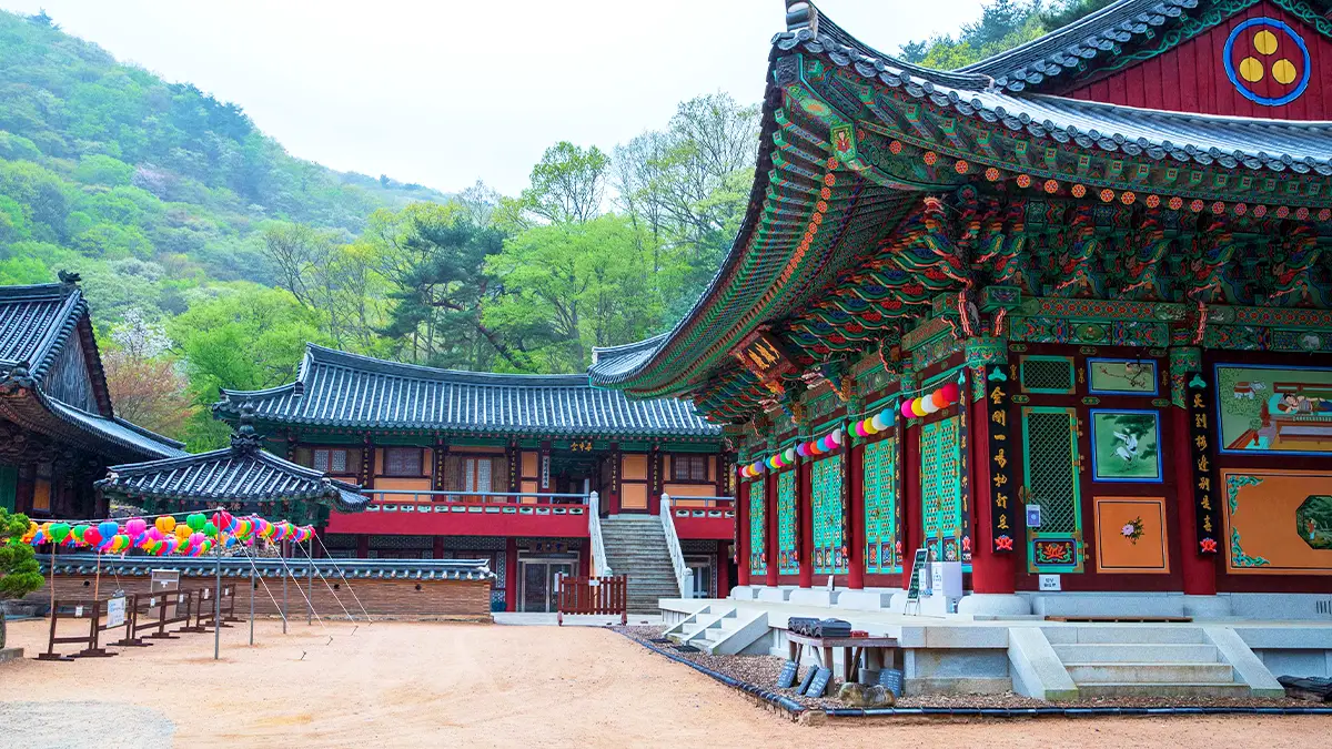 내원사 모습 내원사 모습