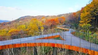 용마산 스카이워크 단풍