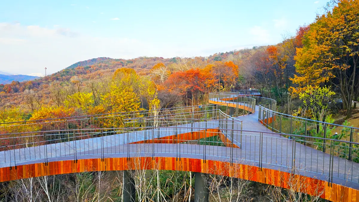 용마산 스카이워크 단풍