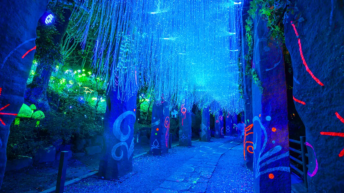 대한민국 1호 야간 도시인 이유를 알겠네