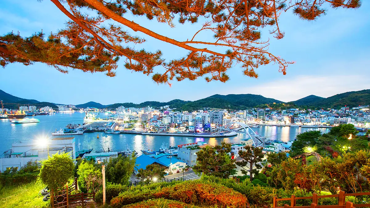 대한민국 1호 야간 도시인 이유를 알겠네