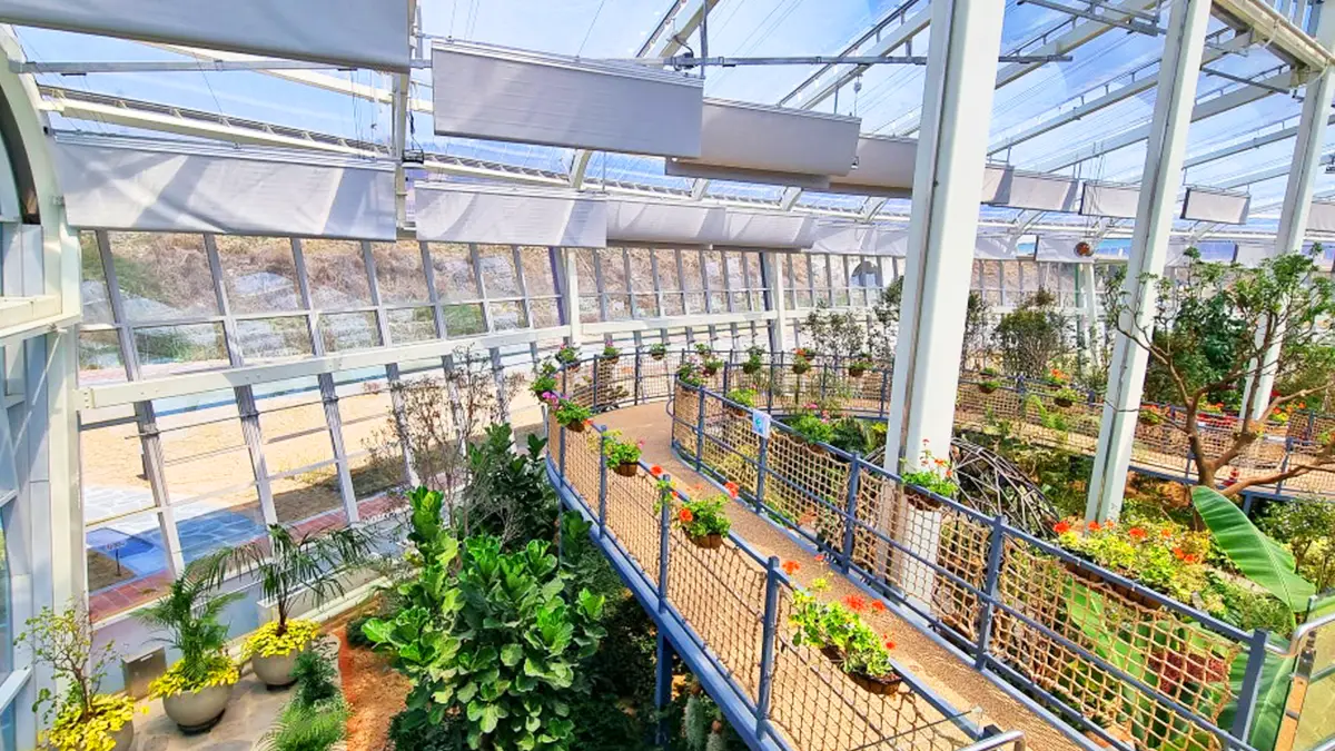 열대 식물 원형 정원의 사진 | 로열티 프리 이미지 및 고해상도 사진 다운로드 | cizucu, image size:1200x675