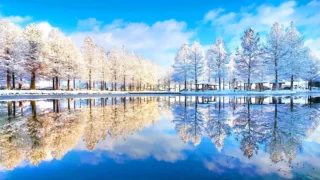 담양 메타세쿼이아길 연못