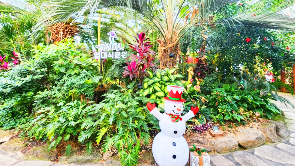 사시사철 푸르른 아열대식물원에는 🌵다양한 선인장과 열대식물이 있는 온실과, 🌴힐링하며 산책할 수 있는 작은 정원들이 조성되어있어요  #제주 #제주가을가볼만한곳 #한림공원 #제주가족여행 #아열대식물원, image size:1200x675