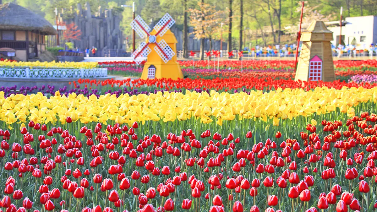 부천자연생태공원