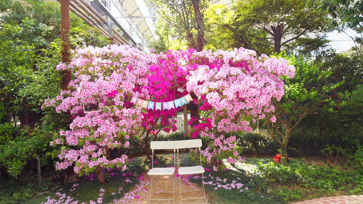 왕궁포레스트 봄꽃