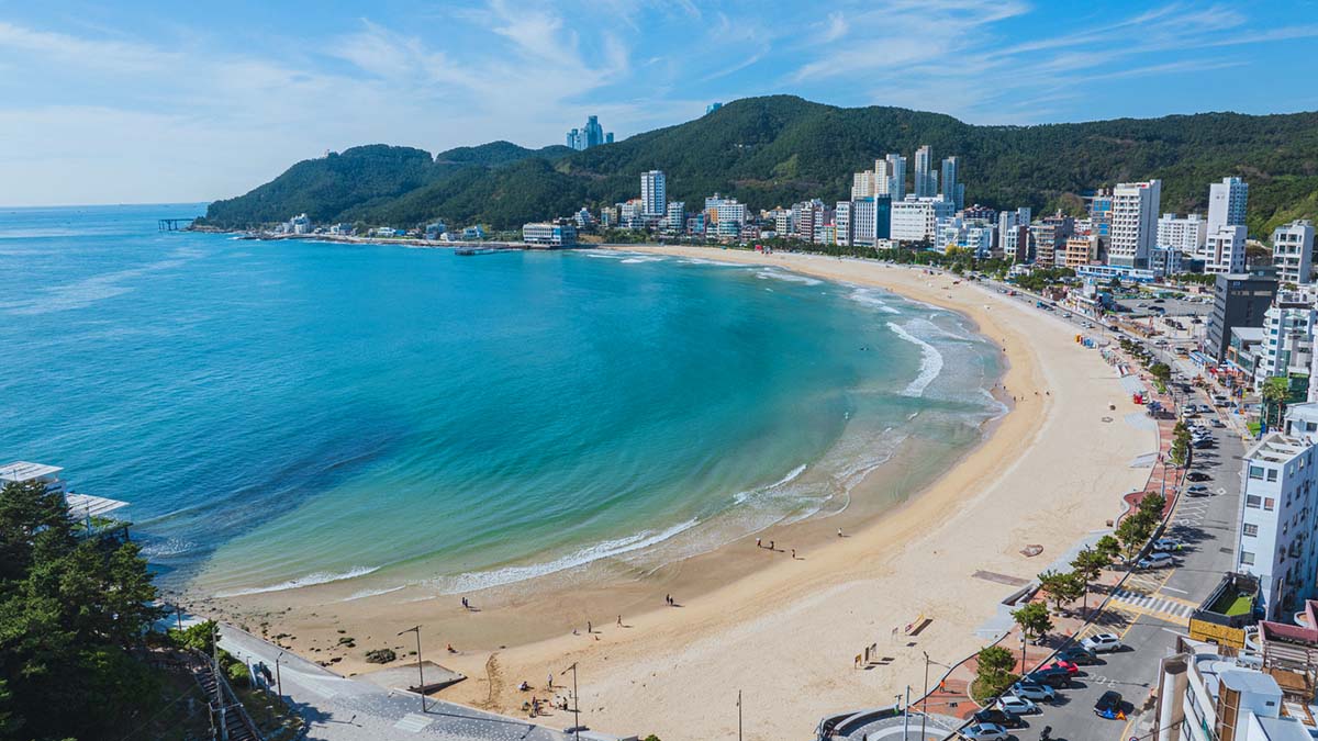 송정해수욕장 전경